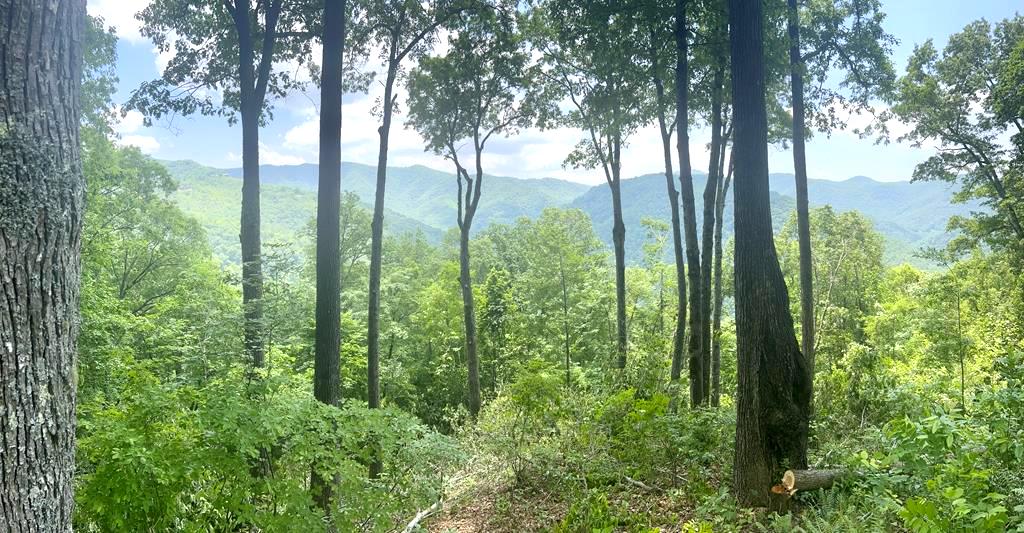 Bryson City, North Carolina 28713, ,Residential,For Sale,6733