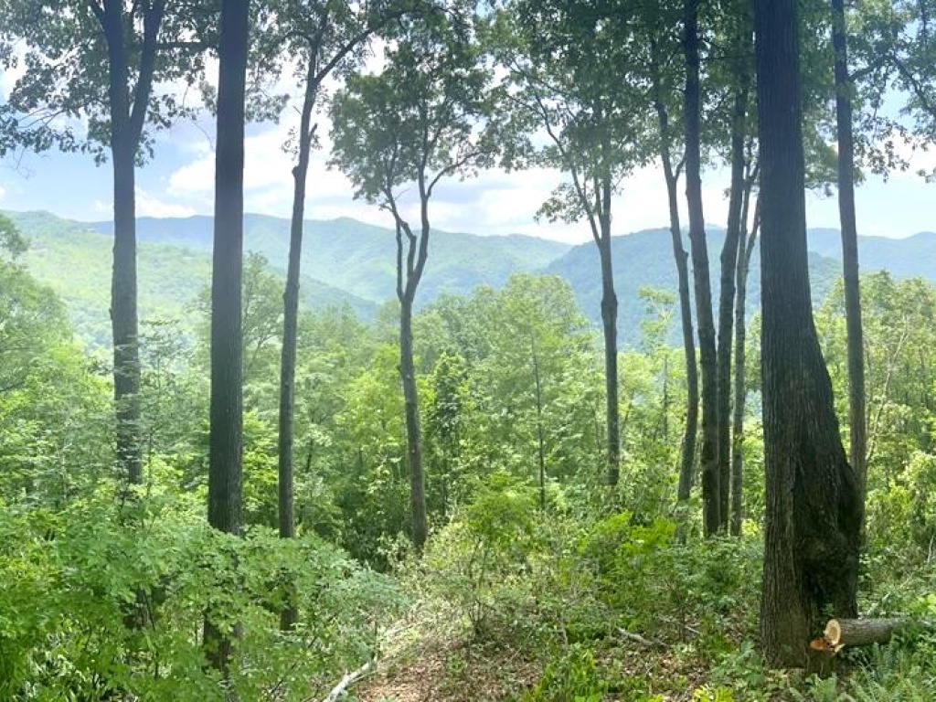 Bryson City, North Carolina 28713, ,Residential,For Sale,6733