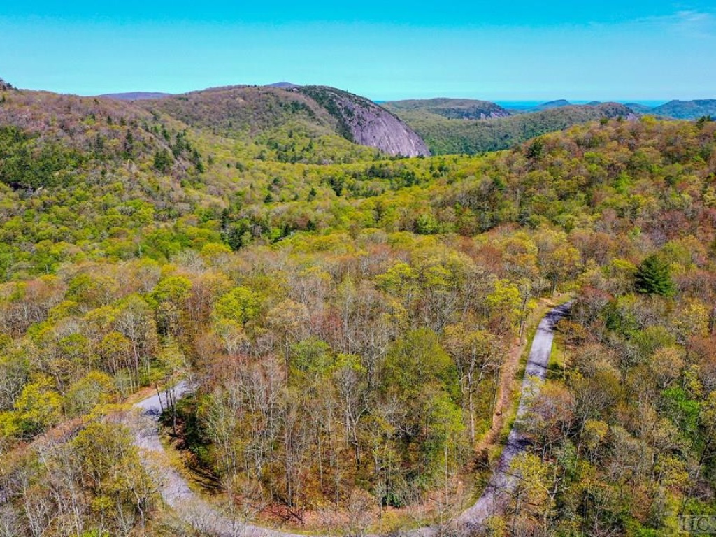 Glenville, North Carolina 28736, ,Acreage,For Sale,6914