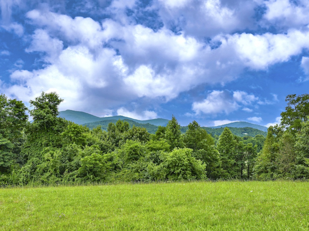 Scaly Mountain, North Carolina 28775, ,Acreage,For Sale,6935