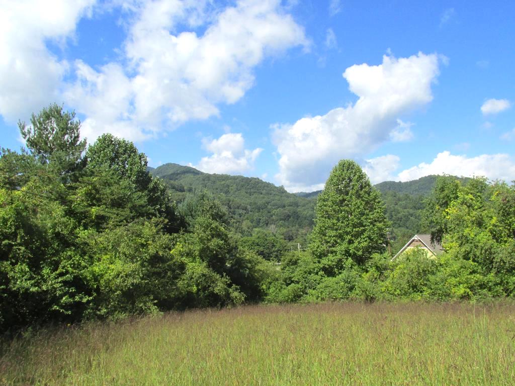 Cullowhee, North Carolina 28723, ,Acreage,For Sale,7282