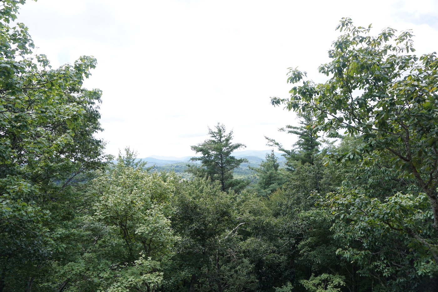 Highlands, North Carolina 28741, ,Acreage,For Sale,7421