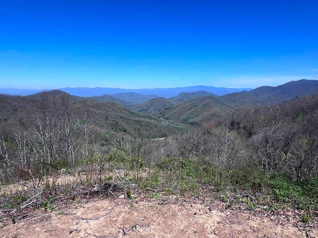 Bryson City, North Carolina 28713, ,Acreage,For Sale,8647