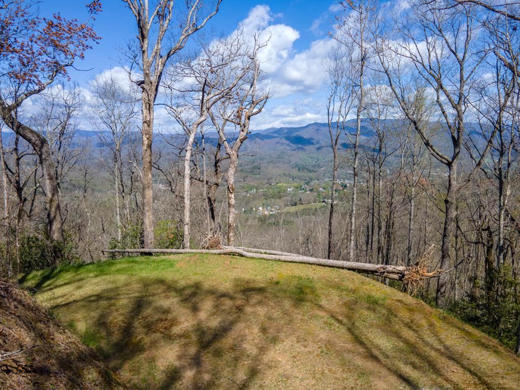 Bryson City, North Carolina 28713, ,Acreage,For Sale,8656