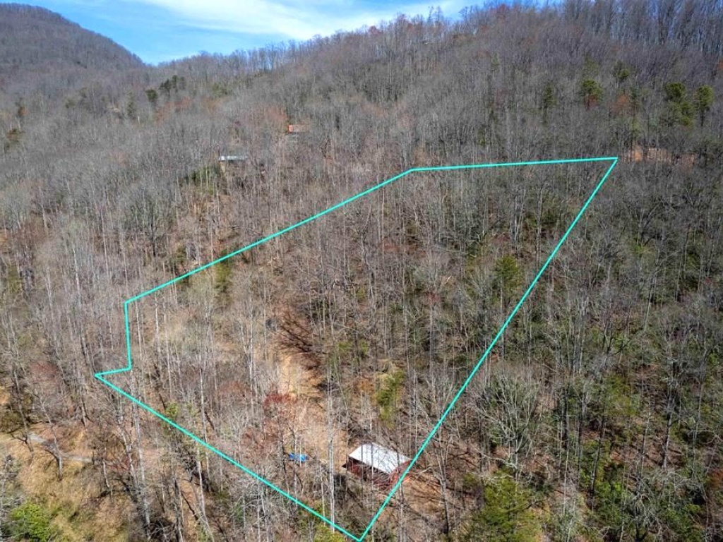 Sylva, North Carolina 28779, ,Acreage,For Sale,8676