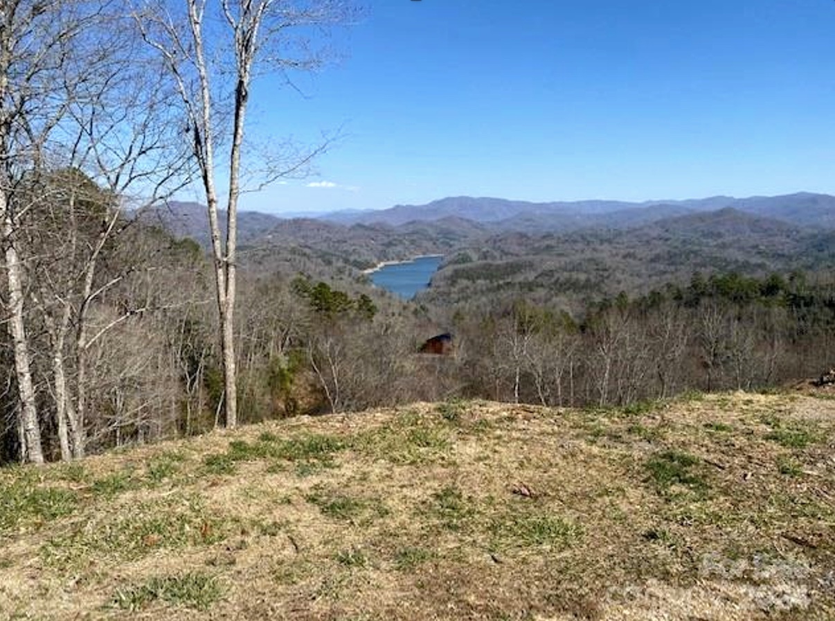 Bryson City, North Carolina 28713, ,Acreage,For Sale,8708