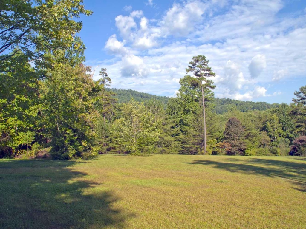 Hayesville, North Carolina 28904, ,Acreage,For Sale,8875