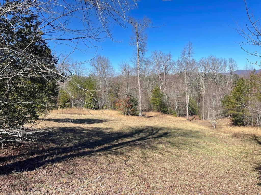 Blairsville, Georgia 30512, ,Acreage,For Sale,8882