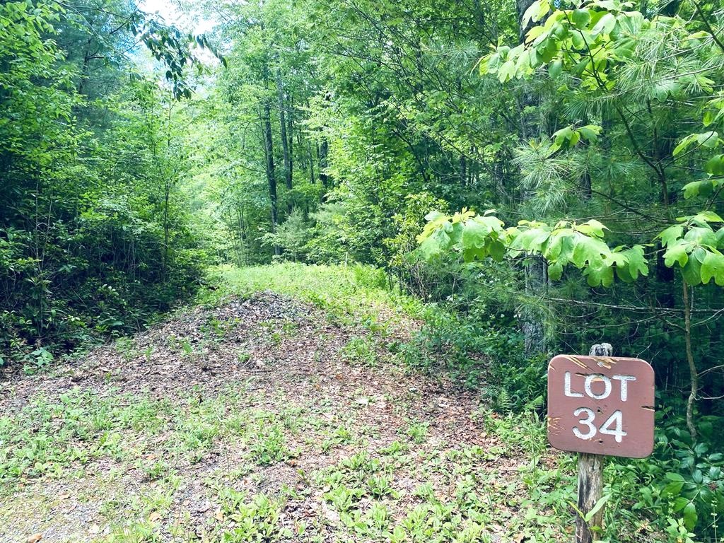 Sylva, North Carolina 28779, ,Acreage,For Sale,9001