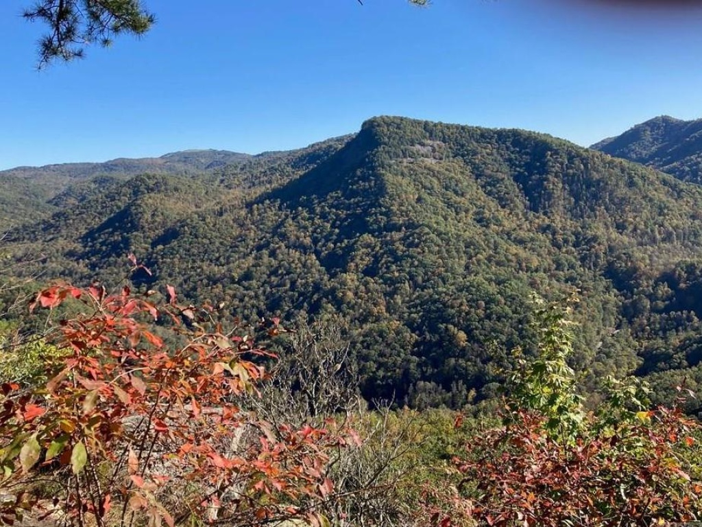 Cullowhee, North Carolina 28723, ,Acreage,For Sale,9057