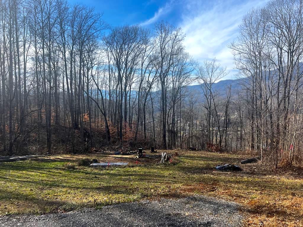 Sylva, North Carolina 28779, ,Acreage,For Sale,9206