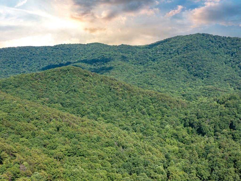 Cherry Log, Georgia 30522, ,Acreage,For Sale,9241