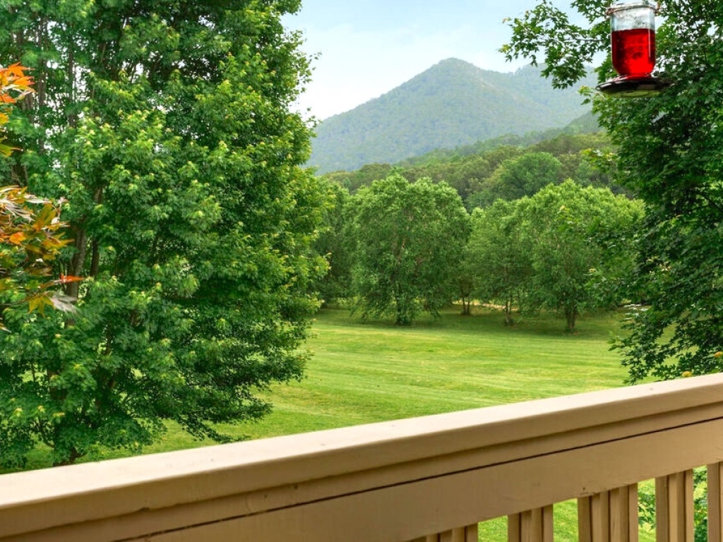 Hayesville, North Carolina 28904, 4 Bedrooms Bedrooms, ,3 BathroomsBathrooms,Residential,For Sale,9306