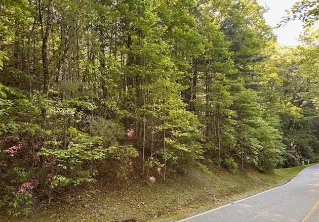 Lake Toxaway, North Carolina 28747, ,Acreage,For Sale,9397