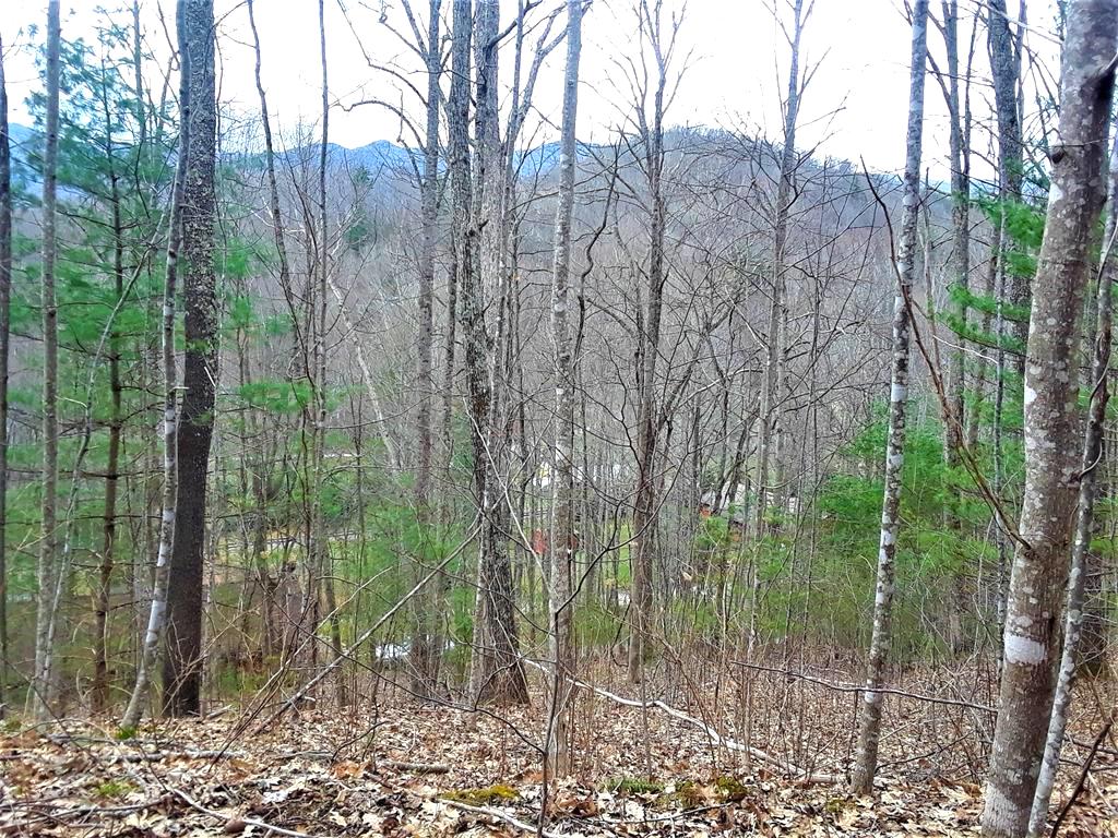 Sylva, North Carolina 28779, ,Acreage,For Sale,9441