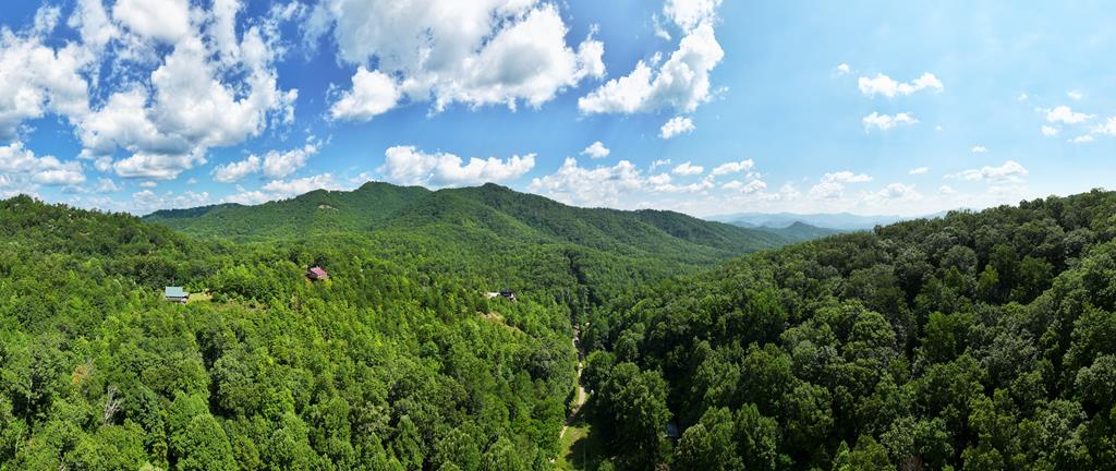 Bryson City, North Carolina 28713, ,Acreage,For Sale,9630