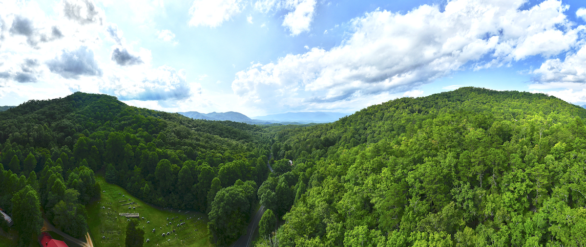 Bryson City, North Carolina 28713, ,Acreage,For Sale,9631