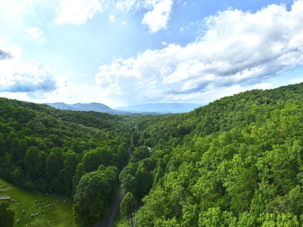 Bryson City, North Carolina 28713, ,Acreage,For Sale,9631