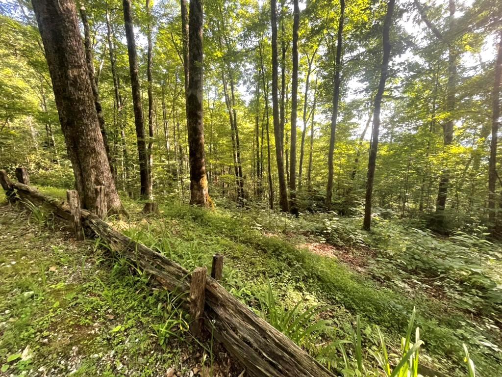 Tuckasegee, North Carolina 28783, ,Acreage,For Sale,9654