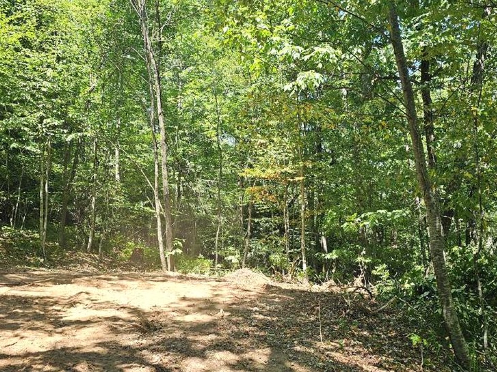Scaly Mountain, North Carolina 28775, ,Acreage,For Sale,9661