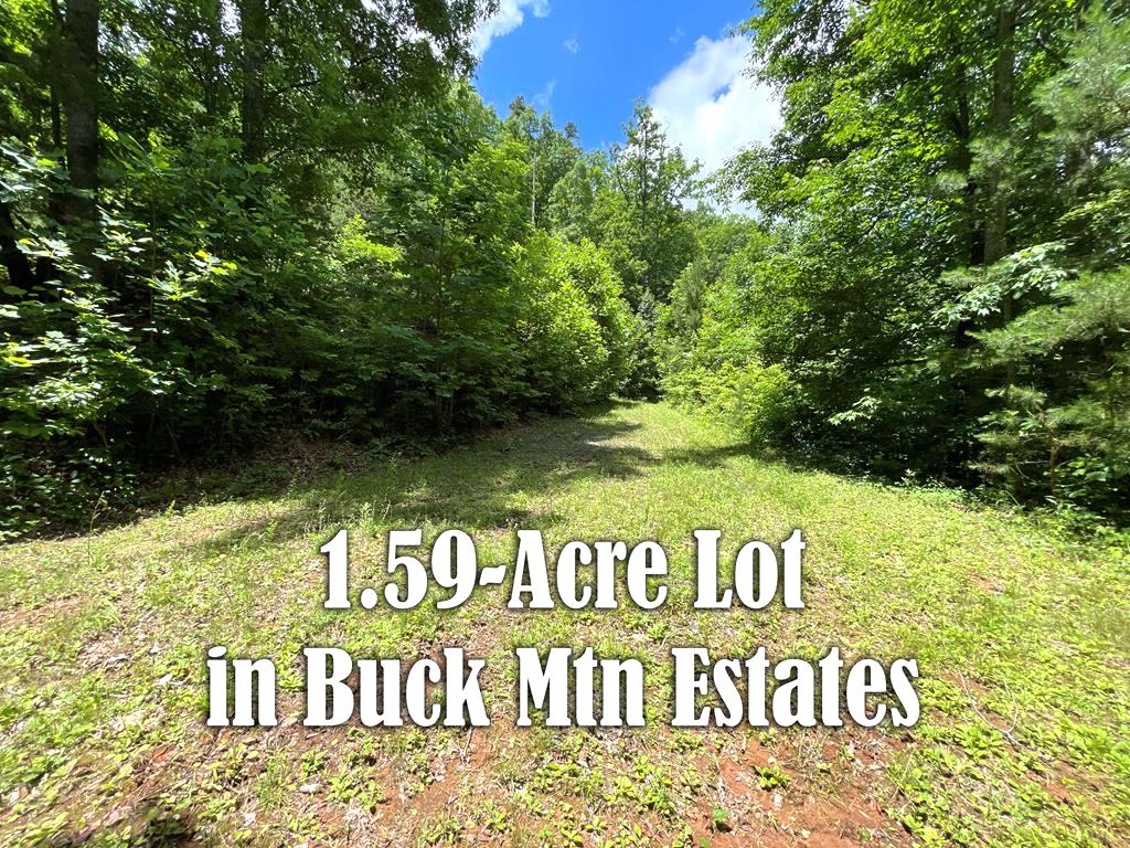 Franklin, North Carolina 28734, ,Acreage,For Sale,9688