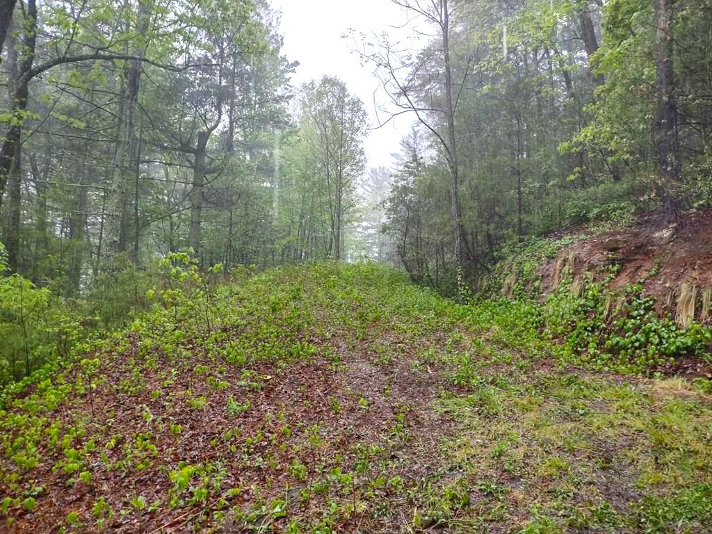 Cullowhee, North Carolina 28783, ,Acreage,For Sale,9761