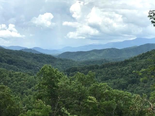 Bryson City, North Carolina 28713, ,Acreage,For Sale,9763