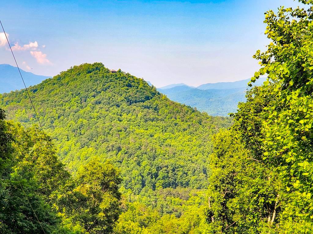 Bryson City, North Carolina 28713, ,Acreage,For Sale,9778