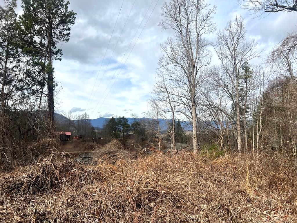 Bryson City, North Carolina 28713, ,Acreage,For Sale,9786