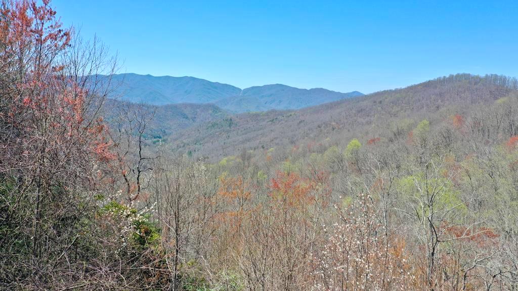 Bryson City, North Carolina 28713, ,Acreage,For Sale,9788