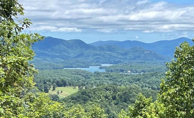 Hayesville, North Carolina 28904, ,Acreage,For Sale,9802