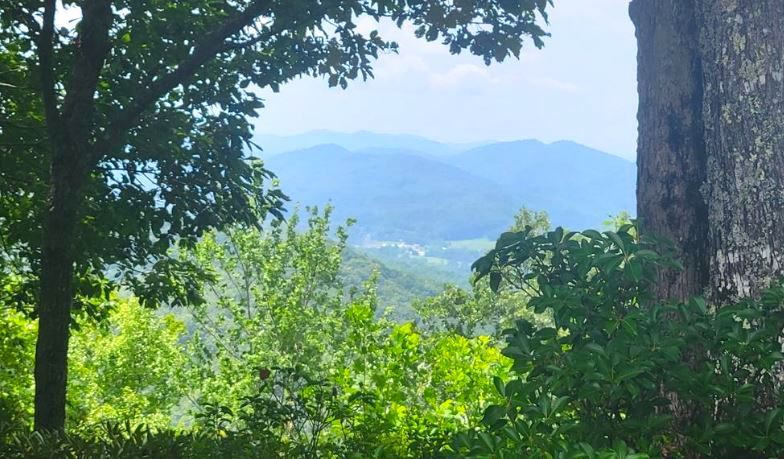 Hayesville, North Carolina 28904, ,Acreage,For Sale,9803