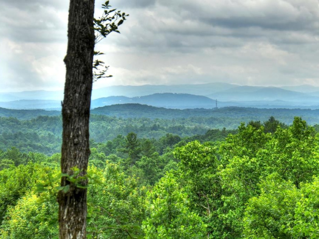 Ellijay, Georgia 30540, 4 Bedrooms Bedrooms, ,3 BathroomsBathrooms,Residential,For Sale,9844