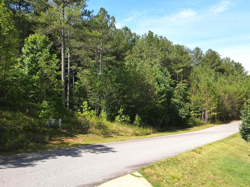 Blairsville, Georgia 30512, ,Acreage,For Sale,9857