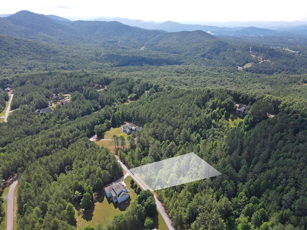 Blairsville, Georgia 30512, ,Acreage,For Sale,9857