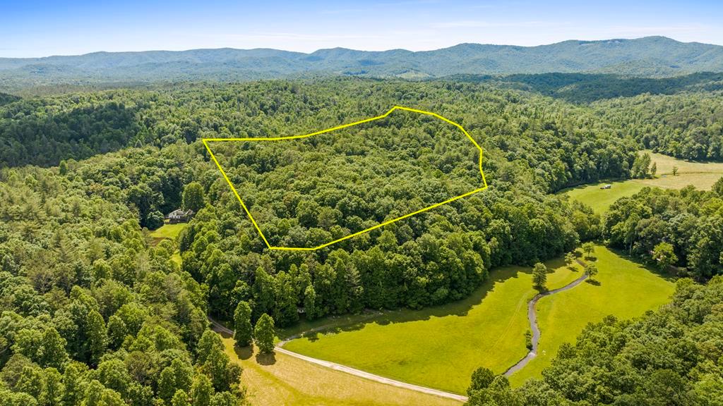 Ellijay, Georgia 30540, ,Acreage,For Sale,9875