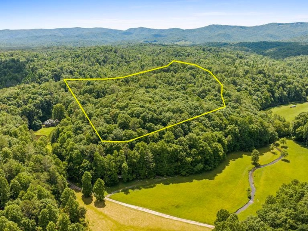 Ellijay, Georgia 30540, ,Acreage,For Sale,9875