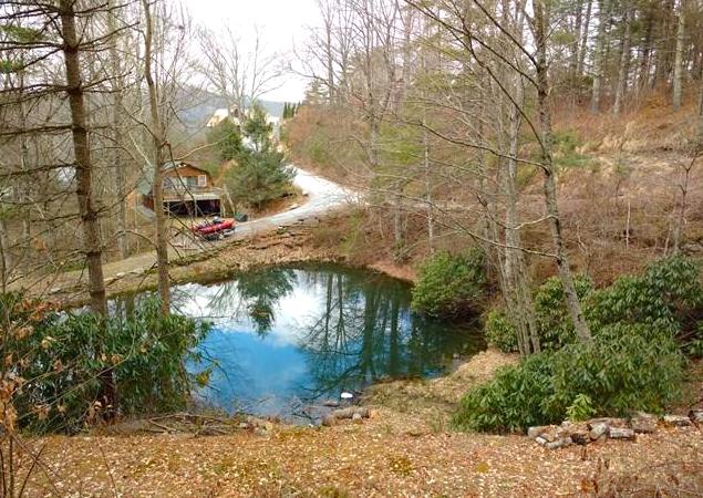 Glenville, North Carolina 28736, ,Acreage,For Sale,9890