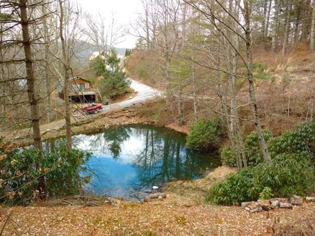 Glenville, North Carolina 28736, ,Acreage,For Sale,9890