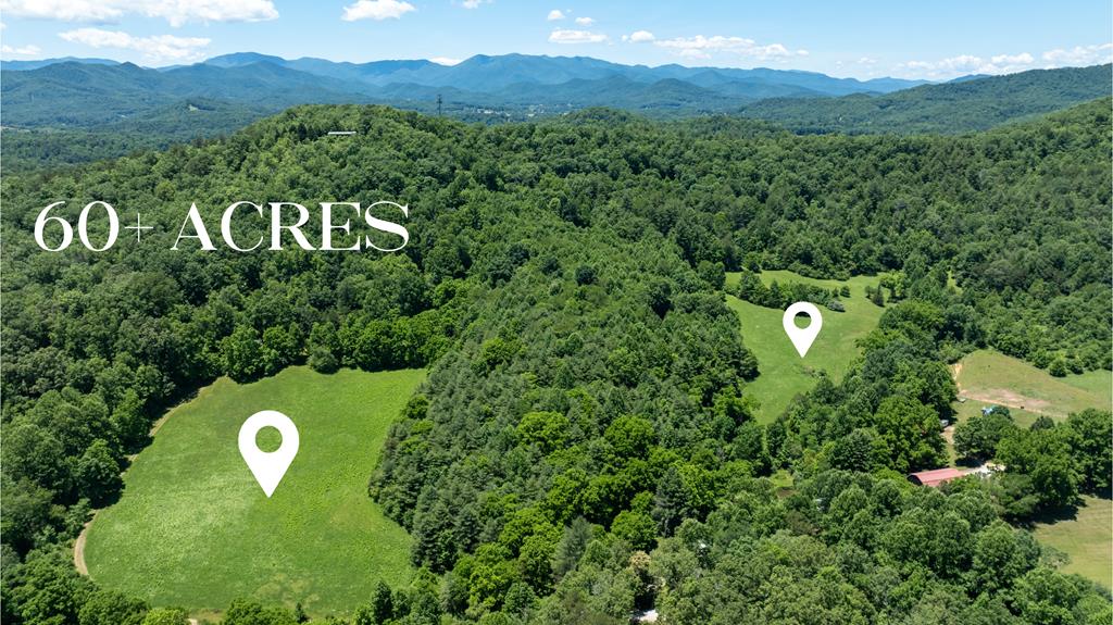 Franklin, North Carolina 28734, ,Acreage,For Sale,9924