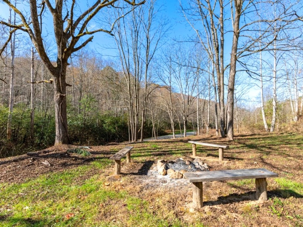 Bryson City, North Carolina 28713, 2 Bedrooms Bedrooms, ,1 BathroomBathrooms,Residential,For Sale,9955