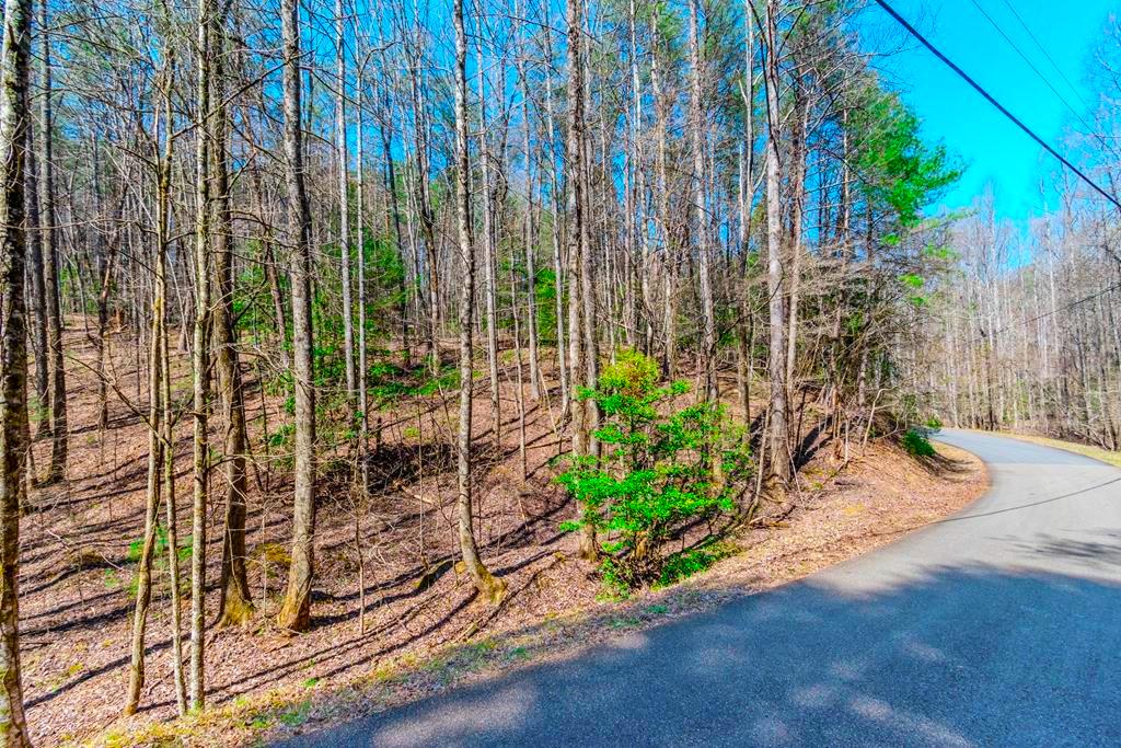 Ellijay, Georgia 30540, ,Acreage,For Sale,10017