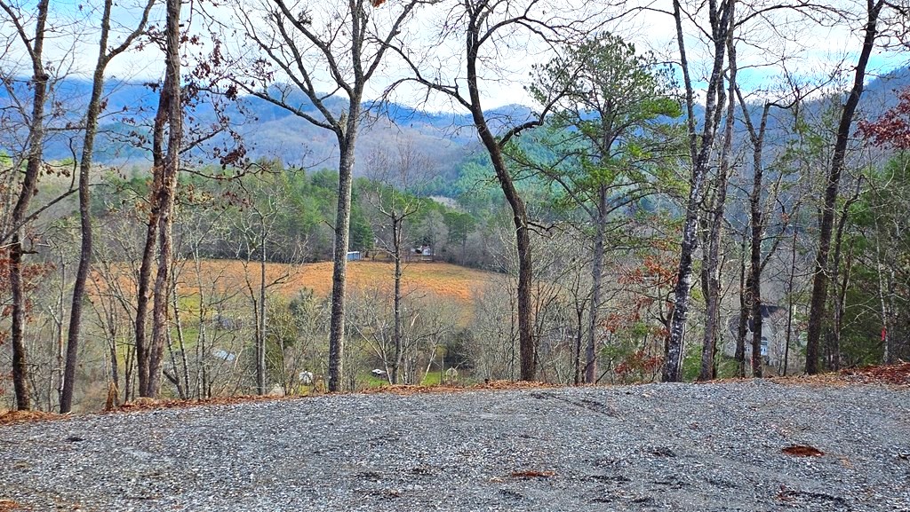 Franklin, North Carolina 28734, ,Acreage,For Sale,10114