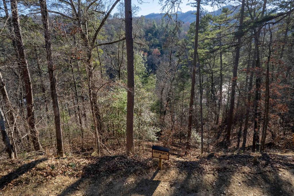 Sylva, North Carolina 28779, ,Acreage,For Sale,10140