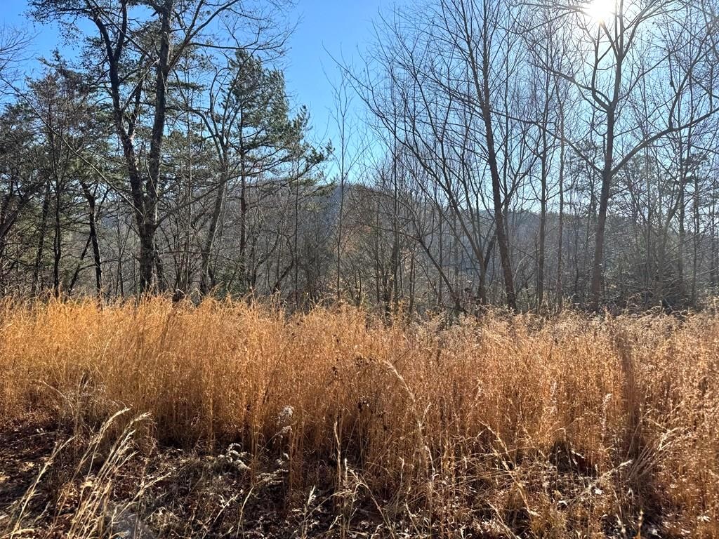 Whittier, North Carolina 28789, ,Acreage,For Sale,10157