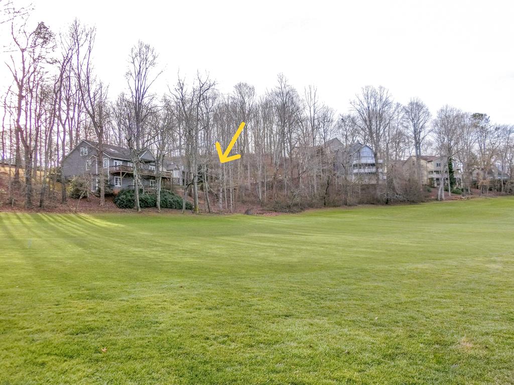 Waynesville, North Carolina 28786, ,Acreage,For Sale,10168