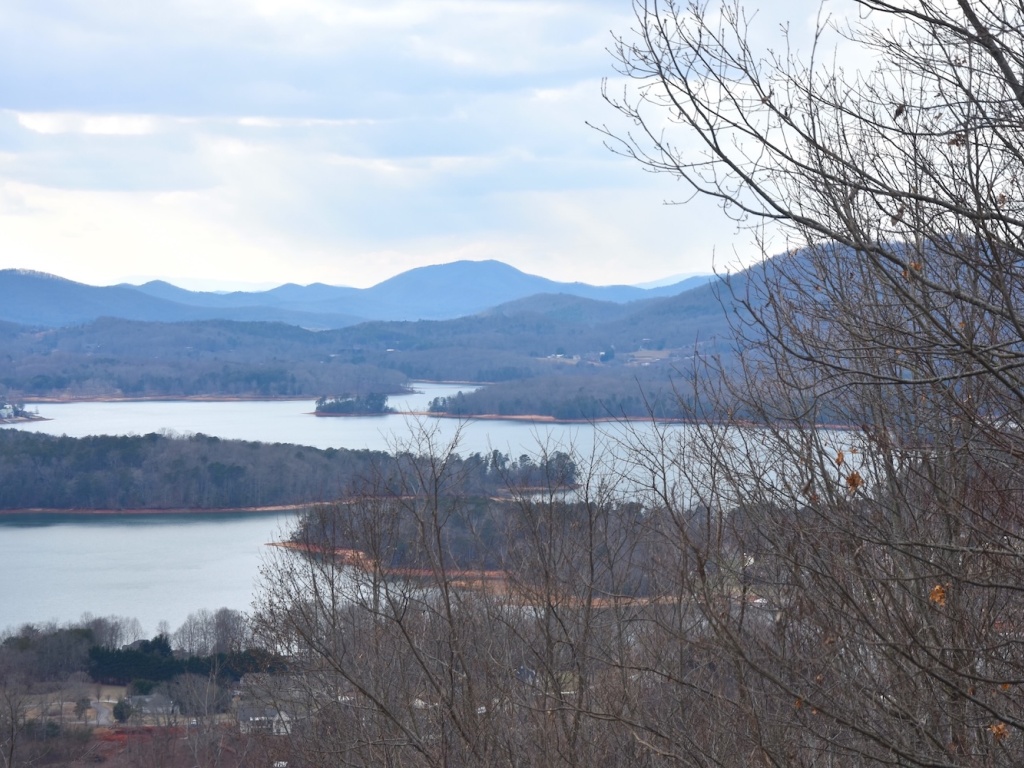 Hayesville, North Carolina 28904, ,Acreage,For Sale,10179