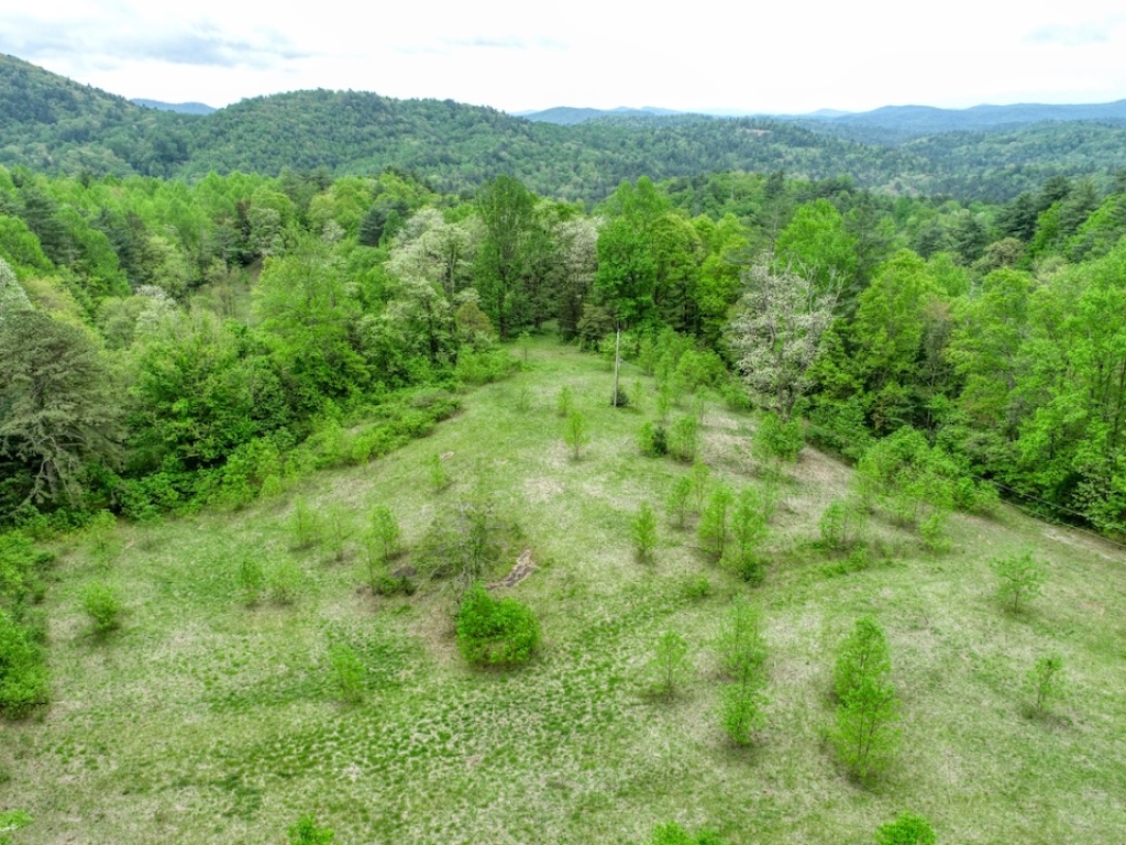 Highlands, North Carolina 28741, ,Acreage,For Sale,10236