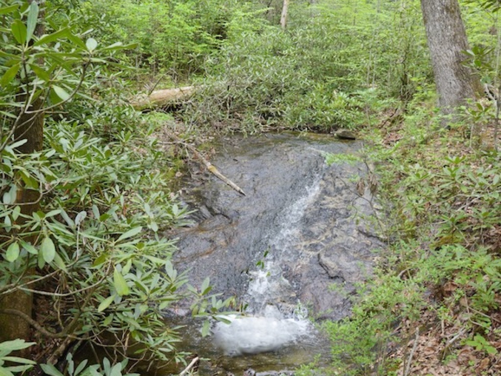 Highlands, North Carolina 28741, ,Acreage,For Sale,10236