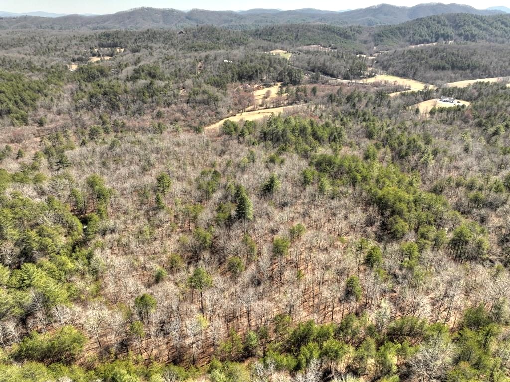 Mineral bluff, Georgia 30559, ,Acreage,For Sale,10356
